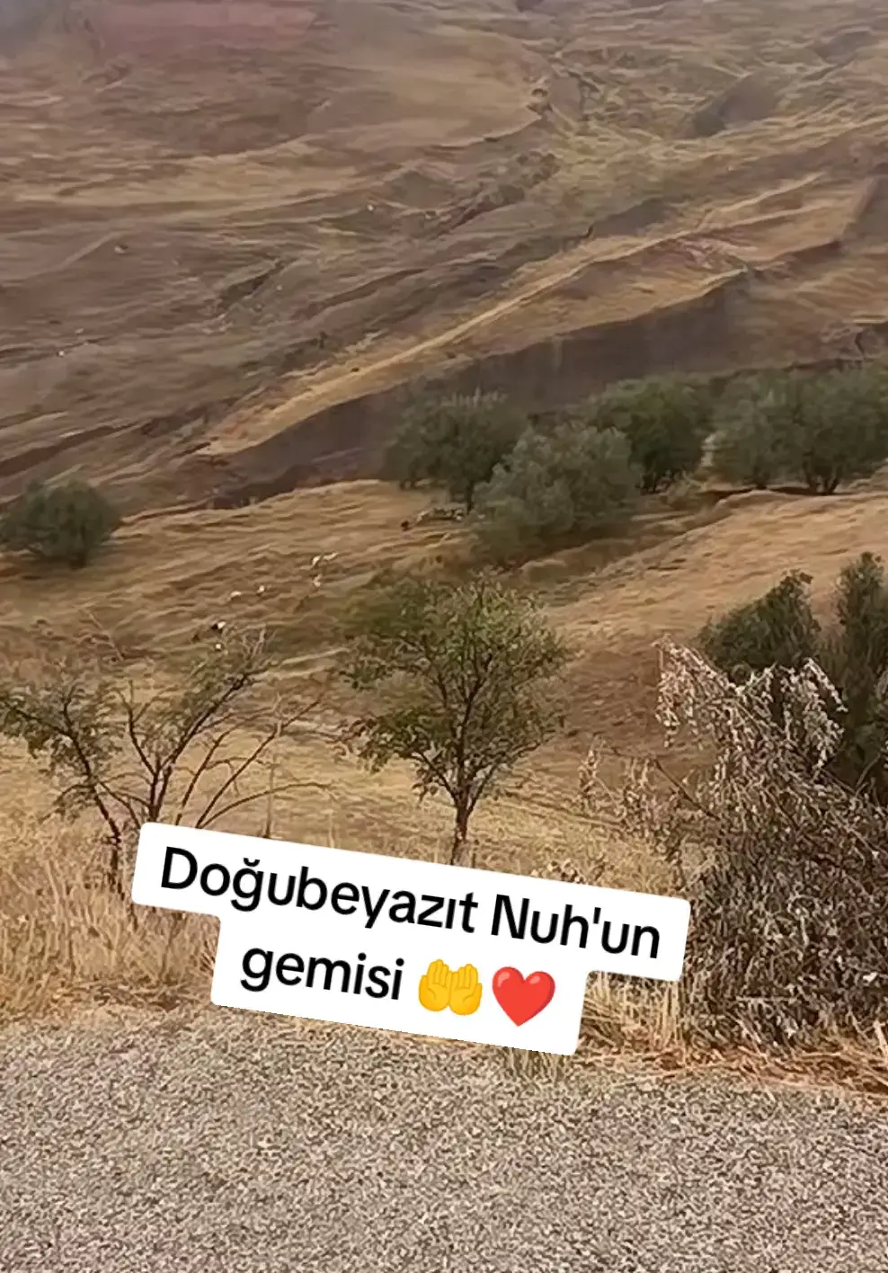 @bazidli adem04