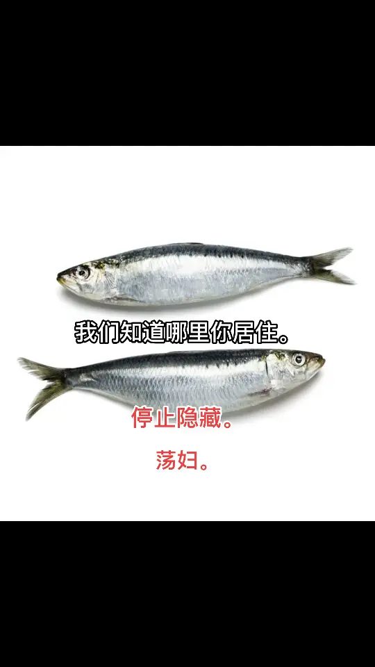 @꧁𝙼𝙴𝙶꧂