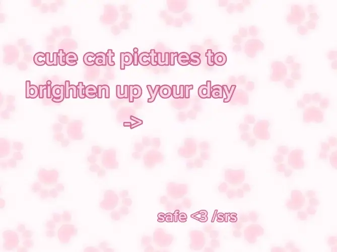 @momo🐾🍀