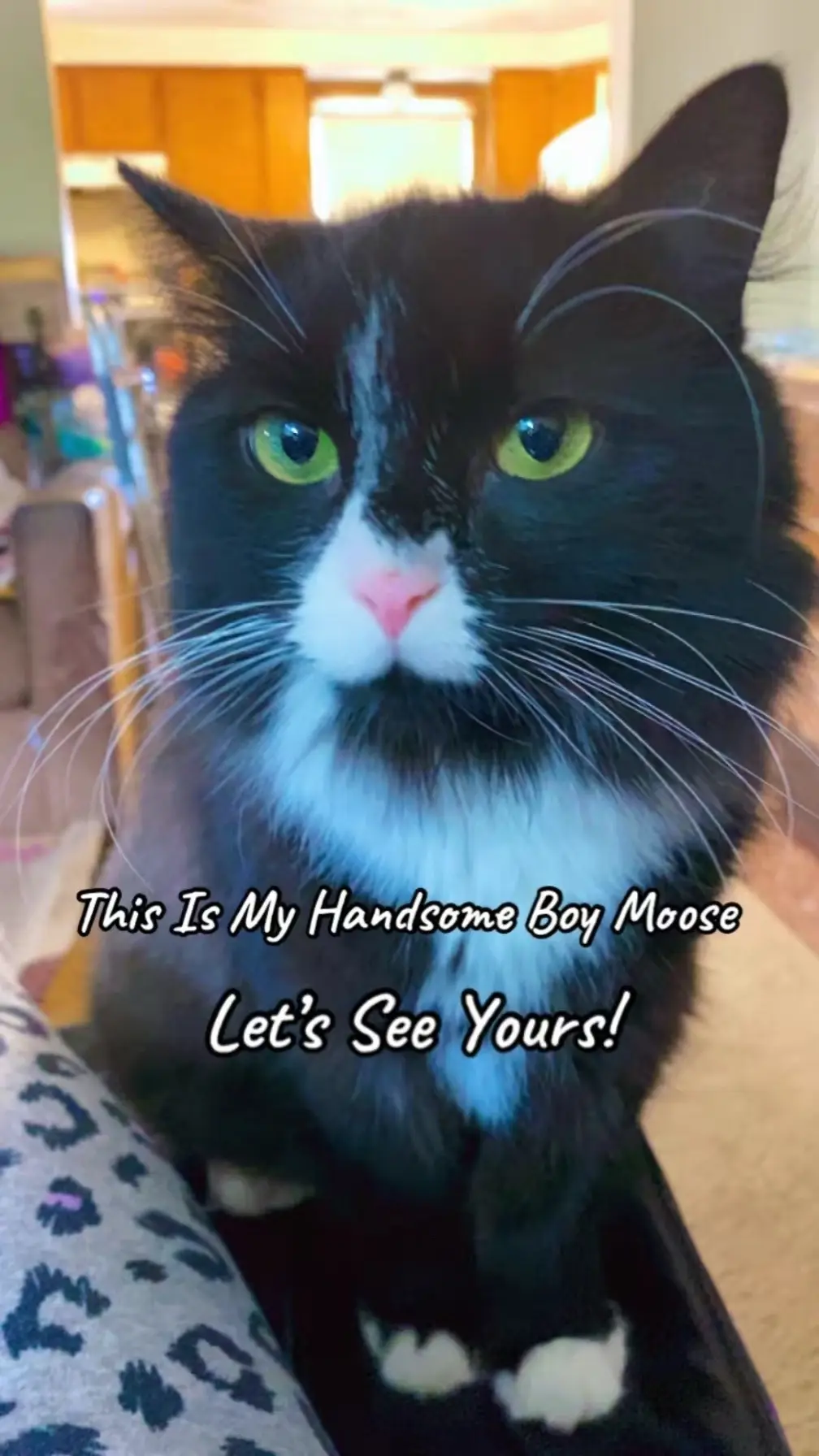 @MarcuszMomma1978