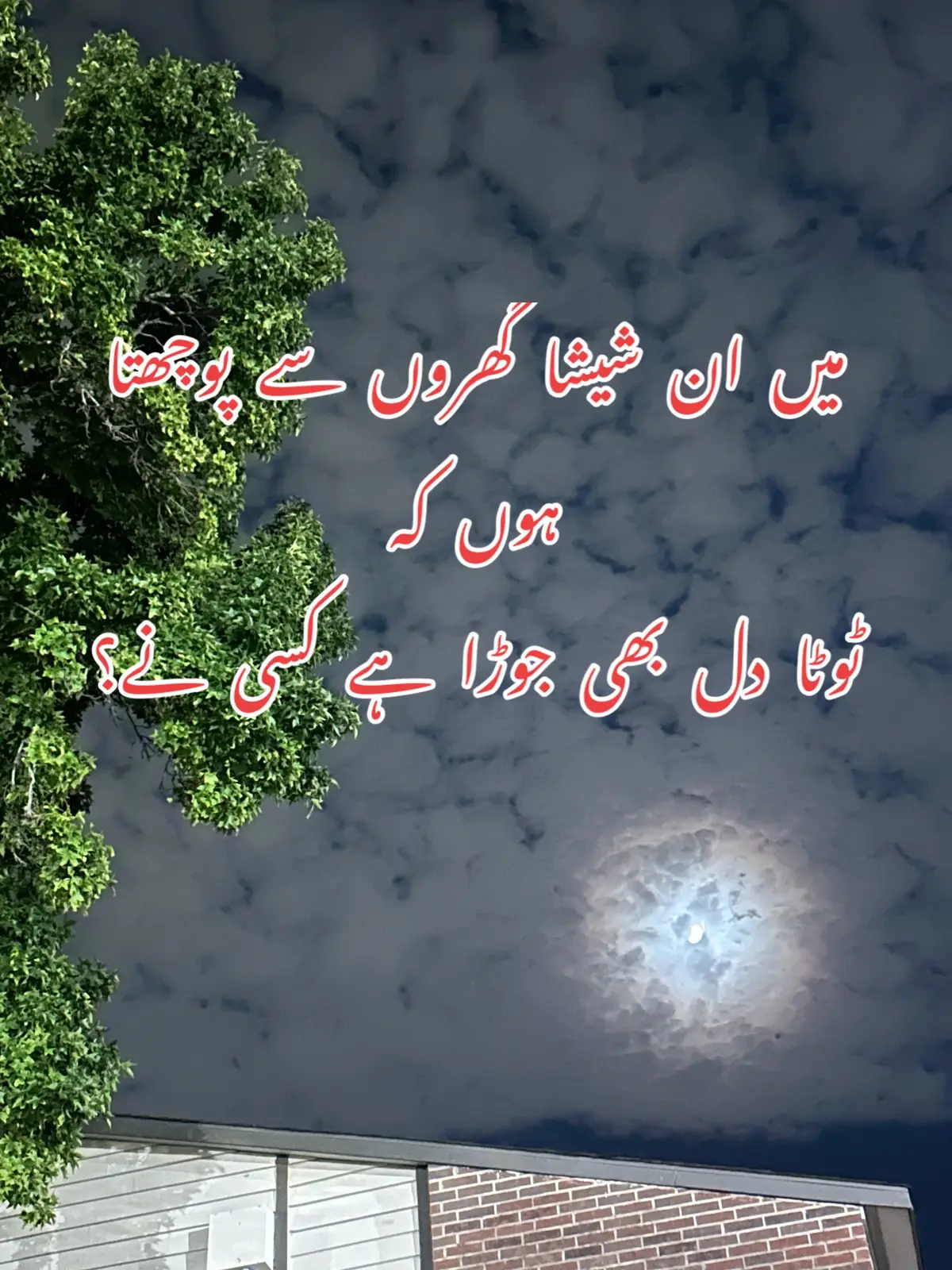 @ZaraHayat020104