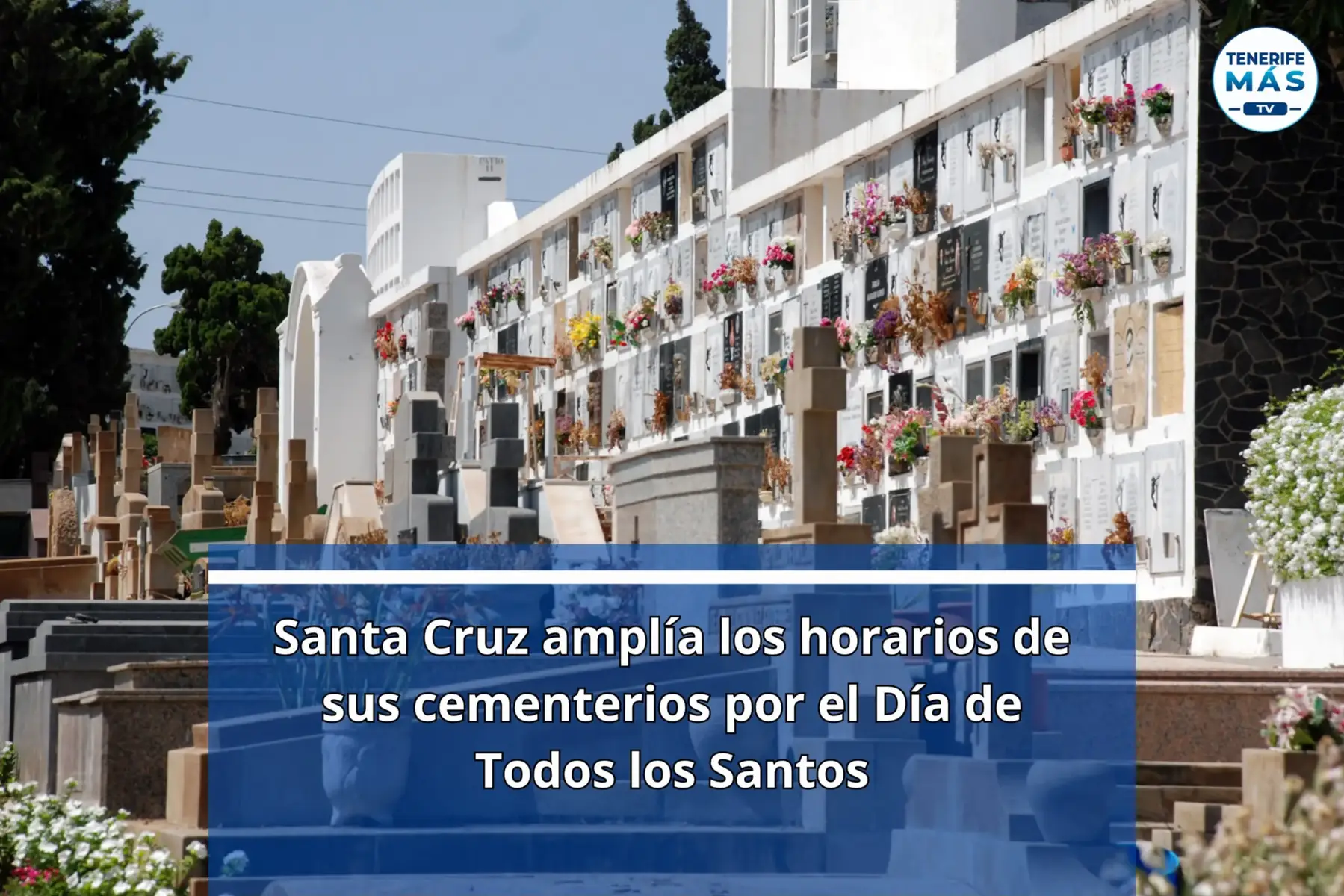 @Tenerife Plus  TV