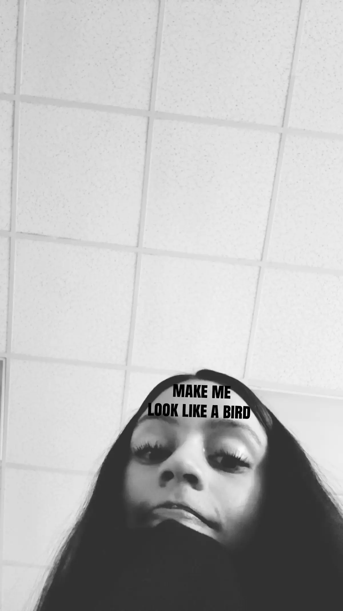 @doll.
