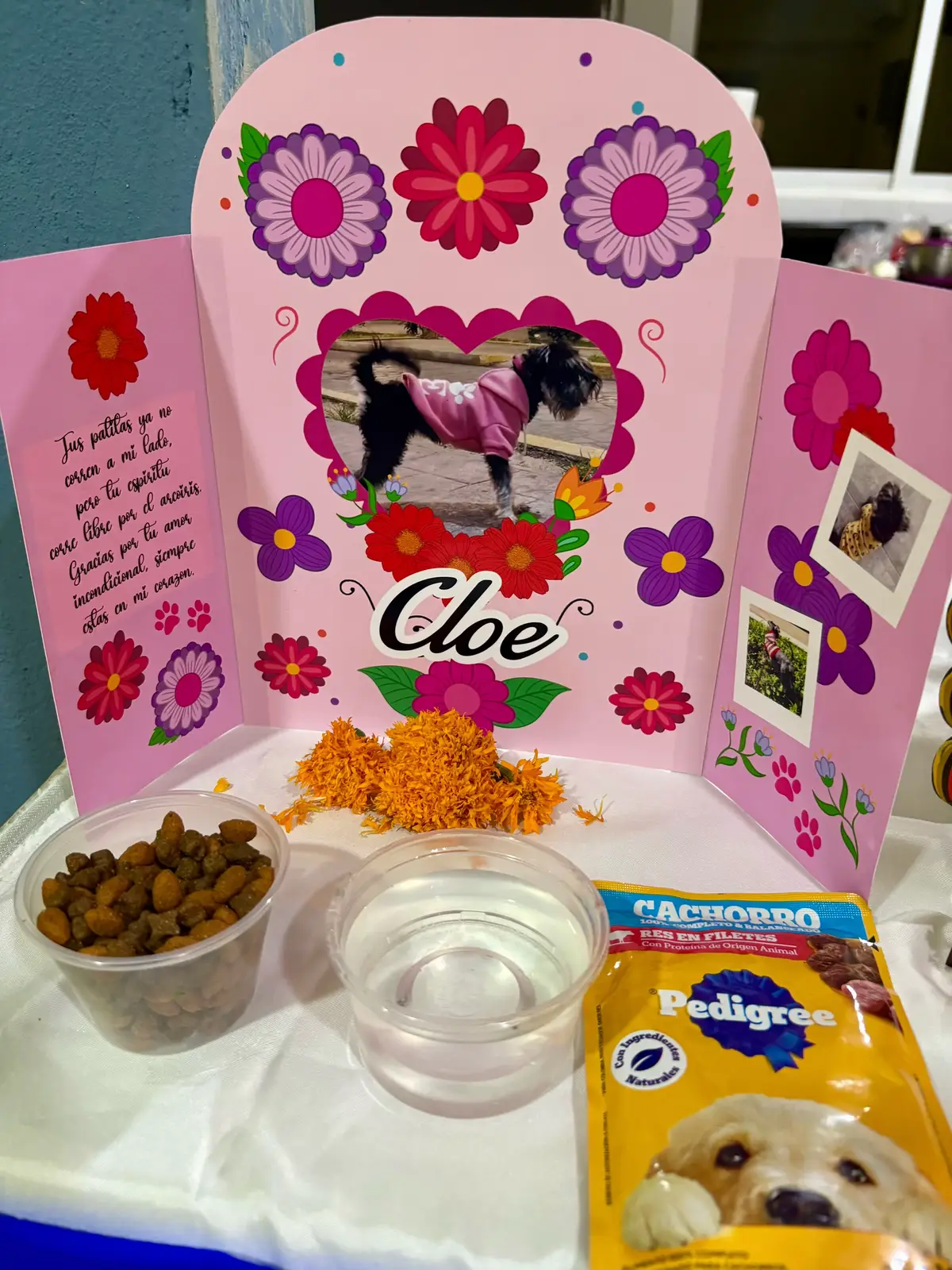 @Ross Dominguez