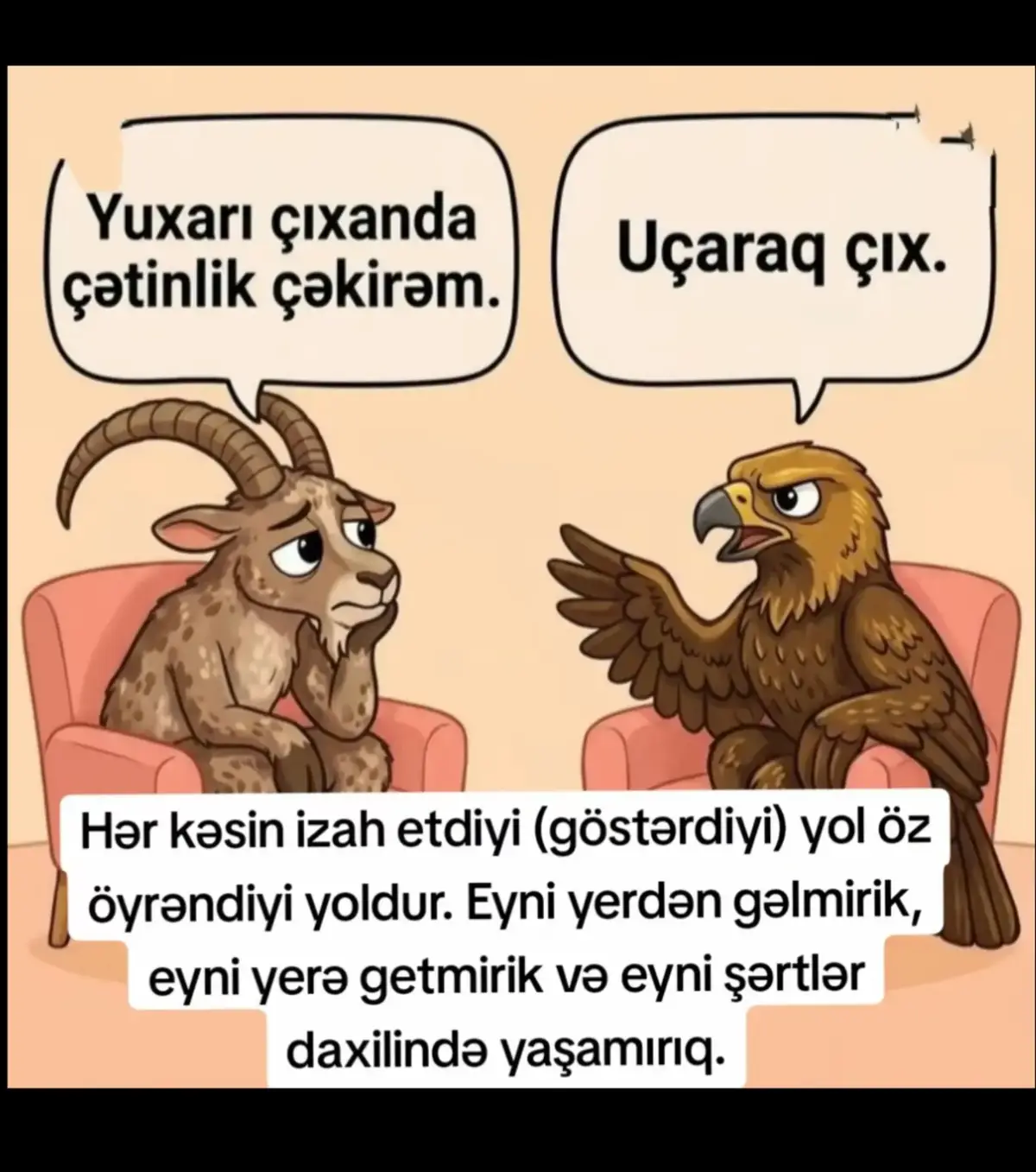 @Mommy.ofSema ❤️🩵Səma & Səid