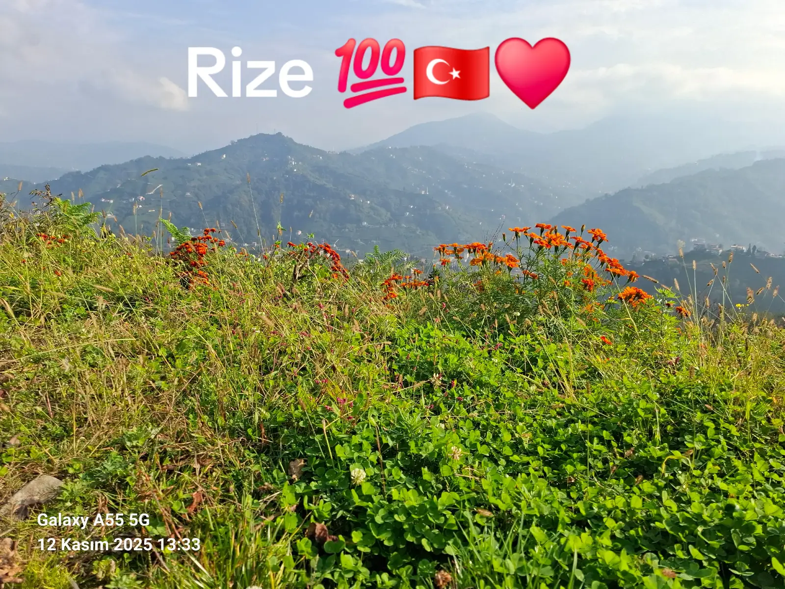 @Adam53Rize💯💯