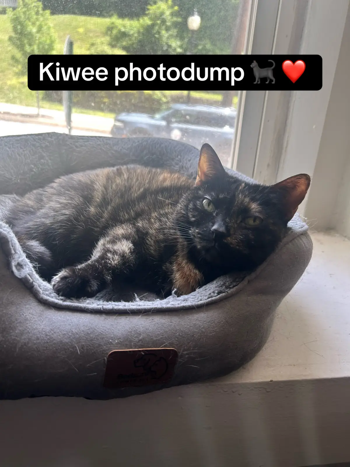 @petrafiedlove