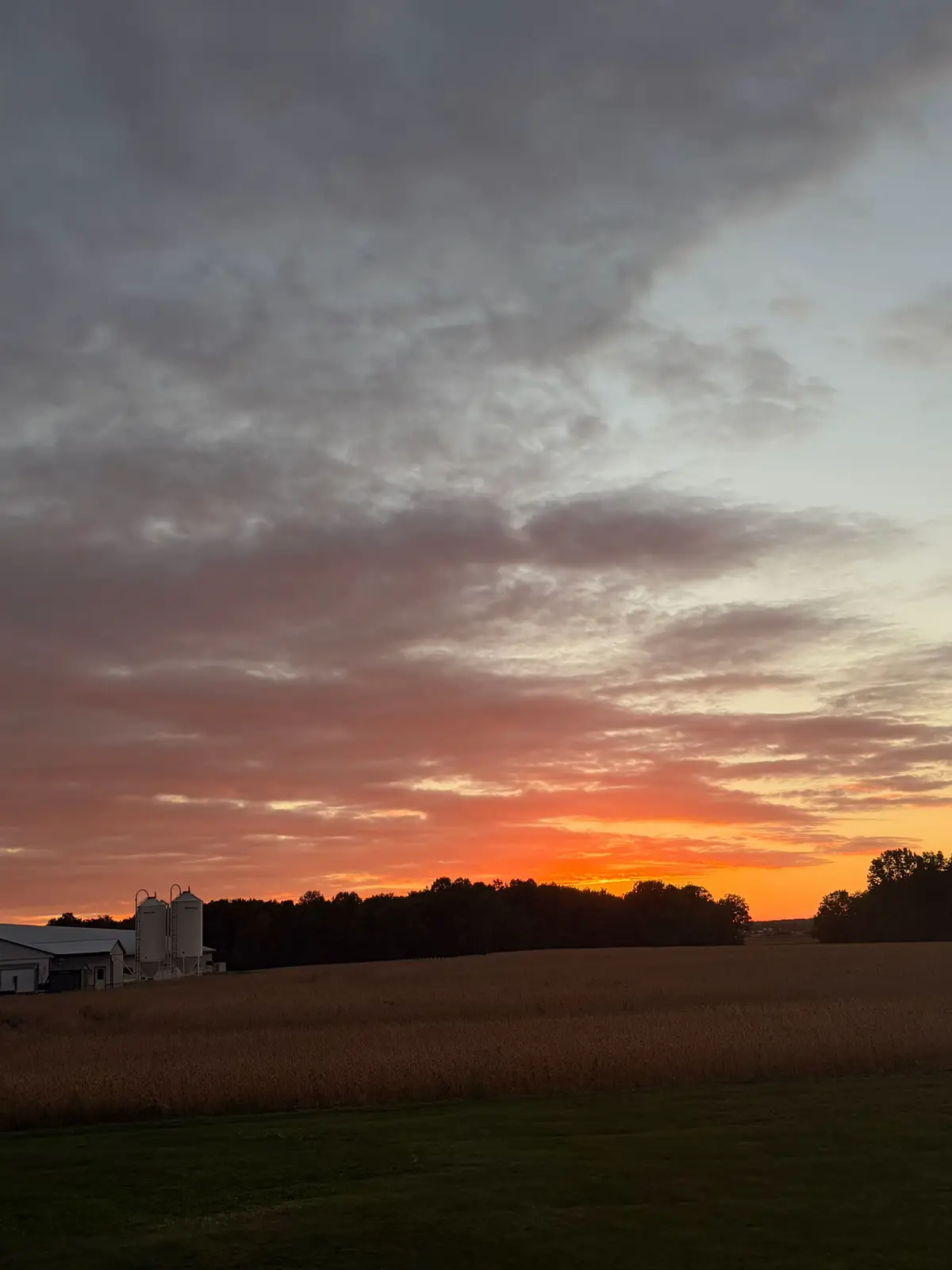 @not_susy0