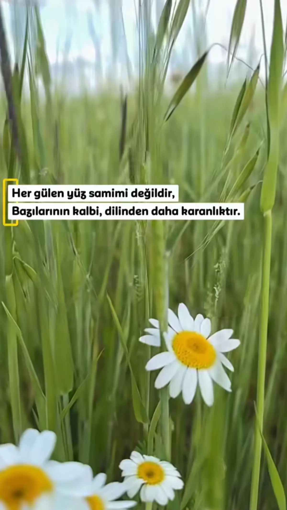 @B&uuml;lent ERKUŞ