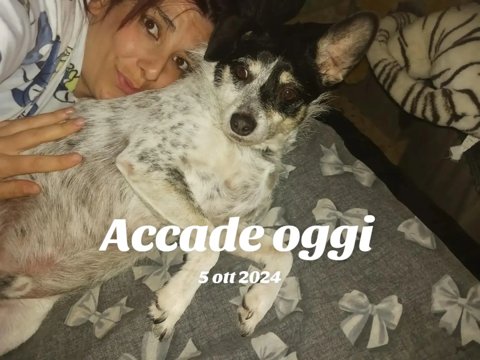 @NicaVero