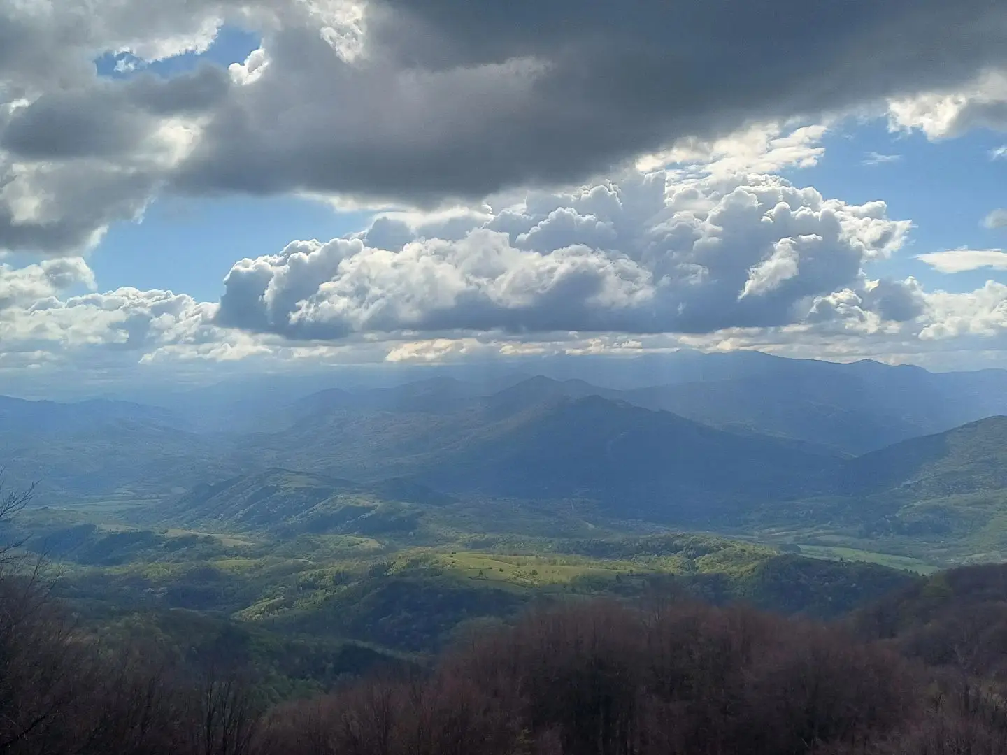 @Цвети