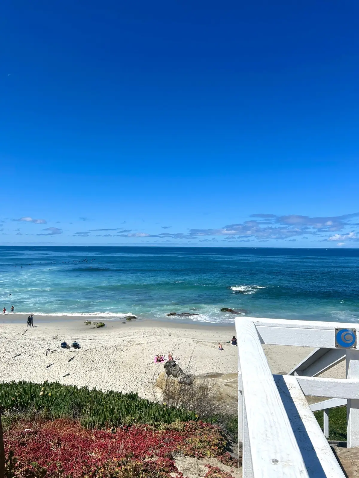 @raegan