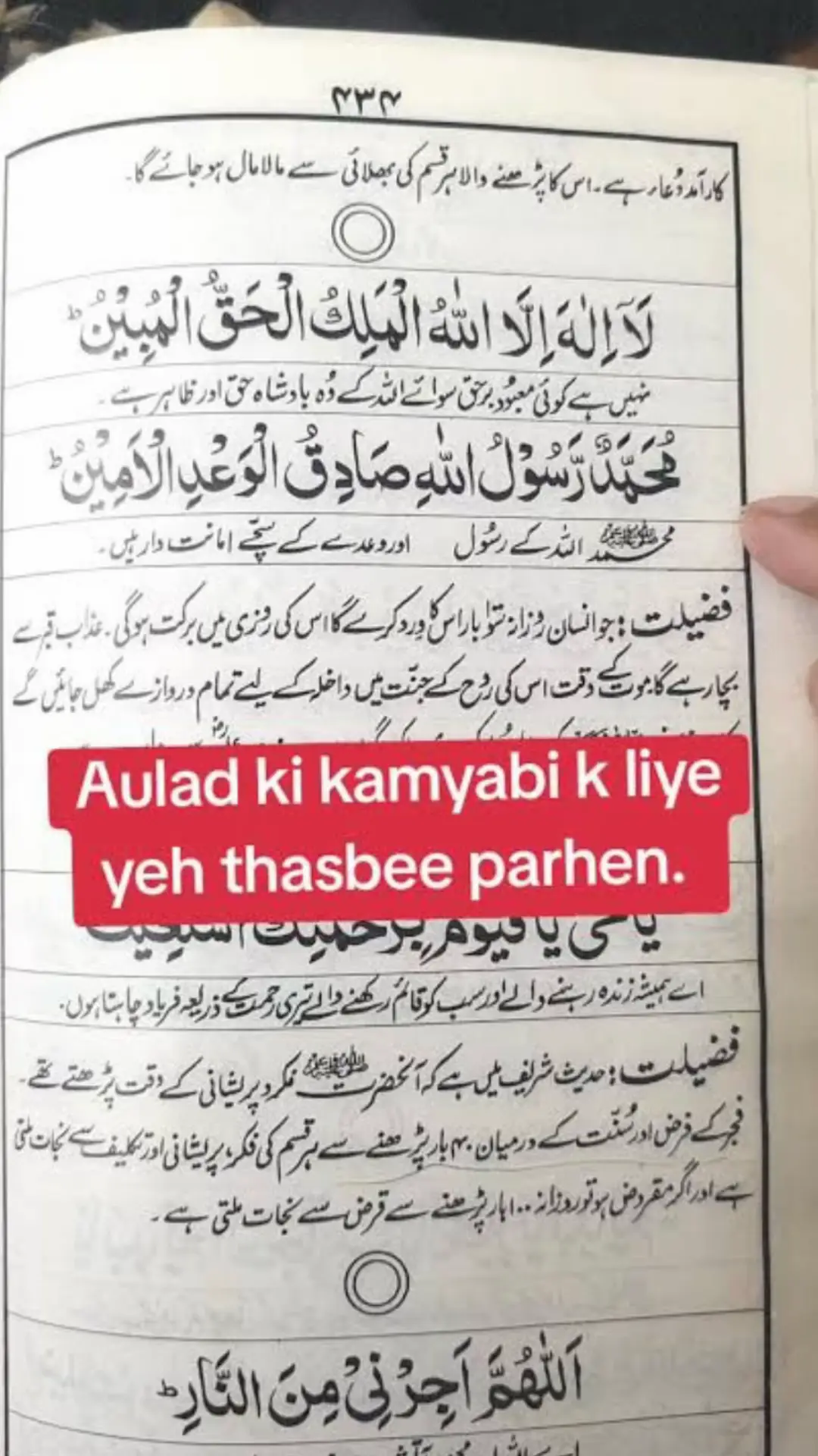 @Sheena Ali