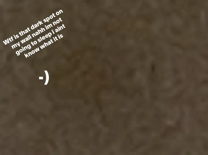 @gamerboy1233