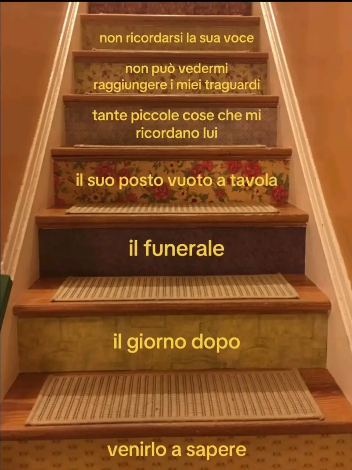 @vitto🐆