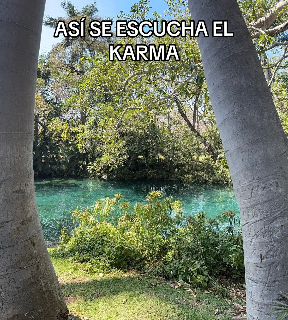 @laa_aris201