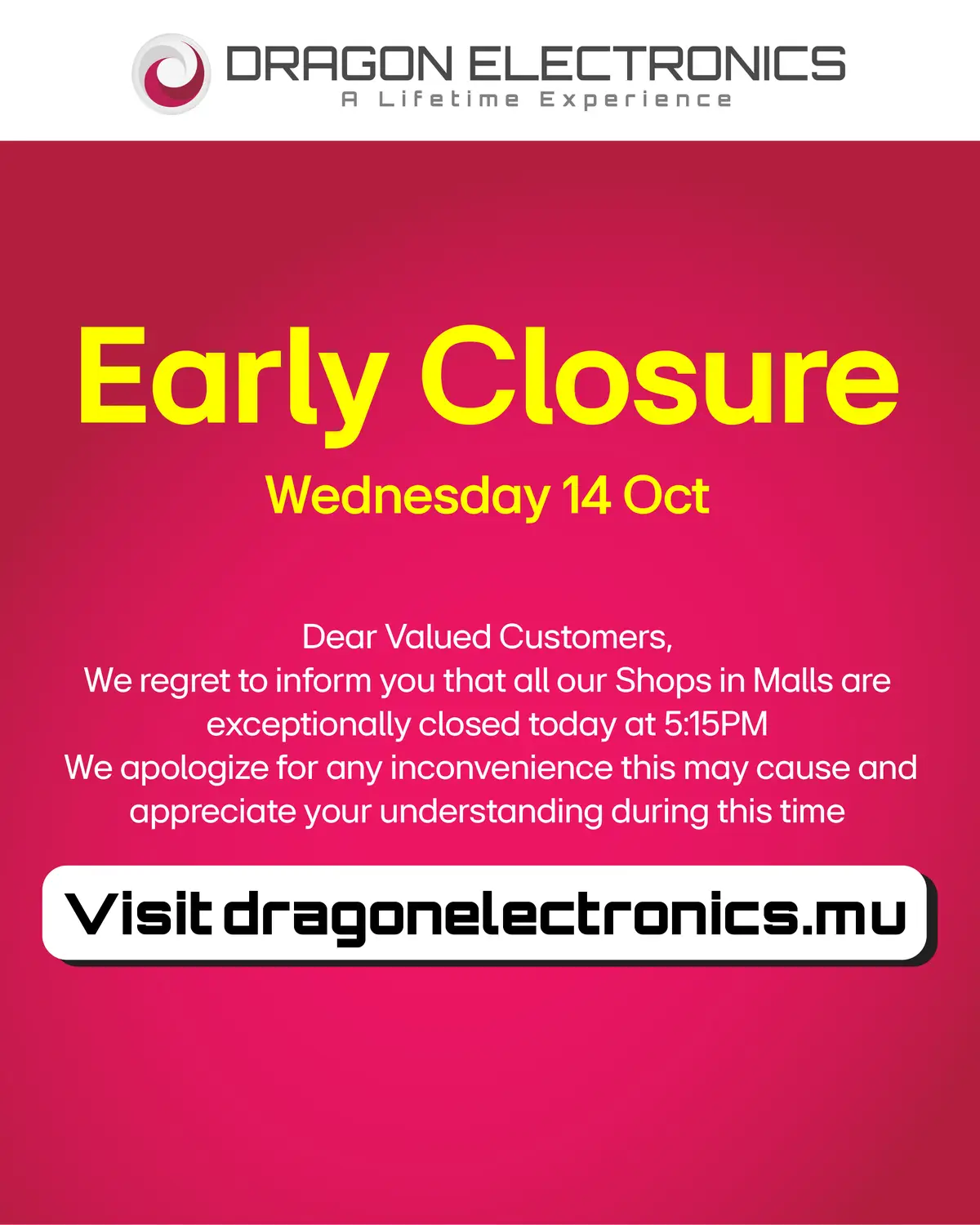 @dragon electronics
