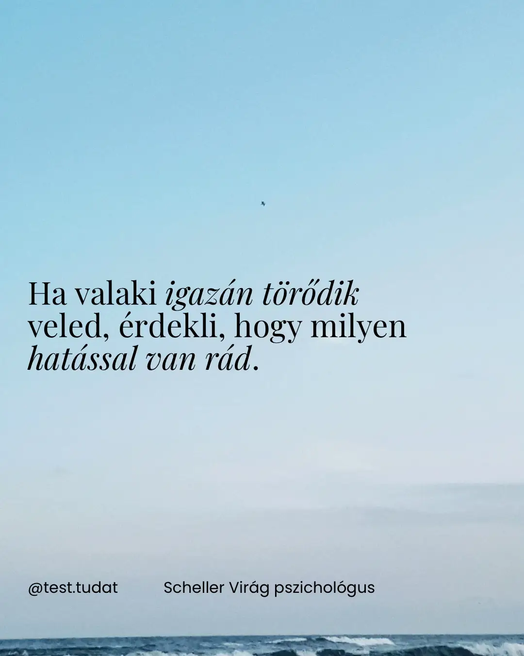 @Scheller Virág | Pszichológus