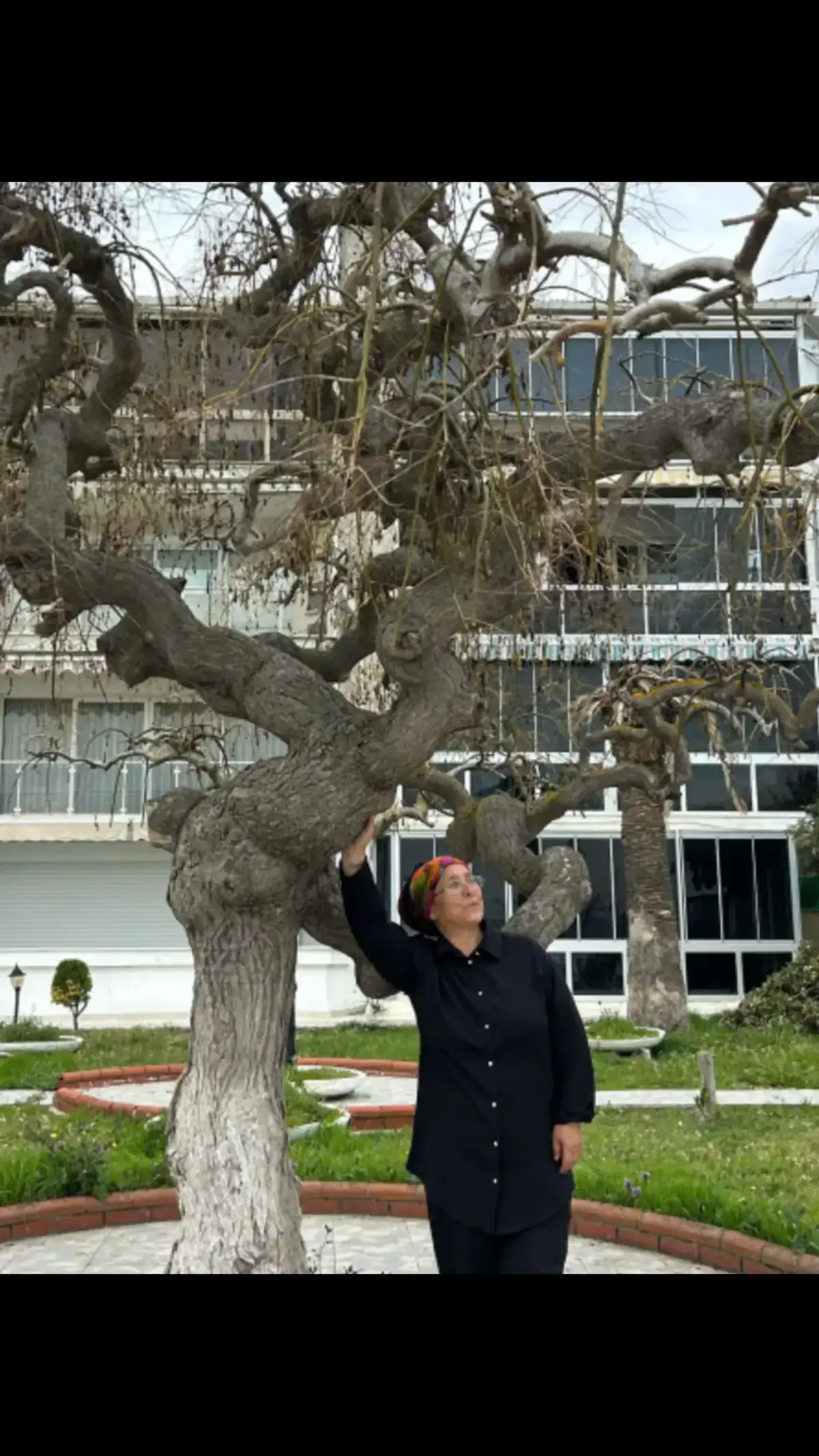 @yaprak dökümü
