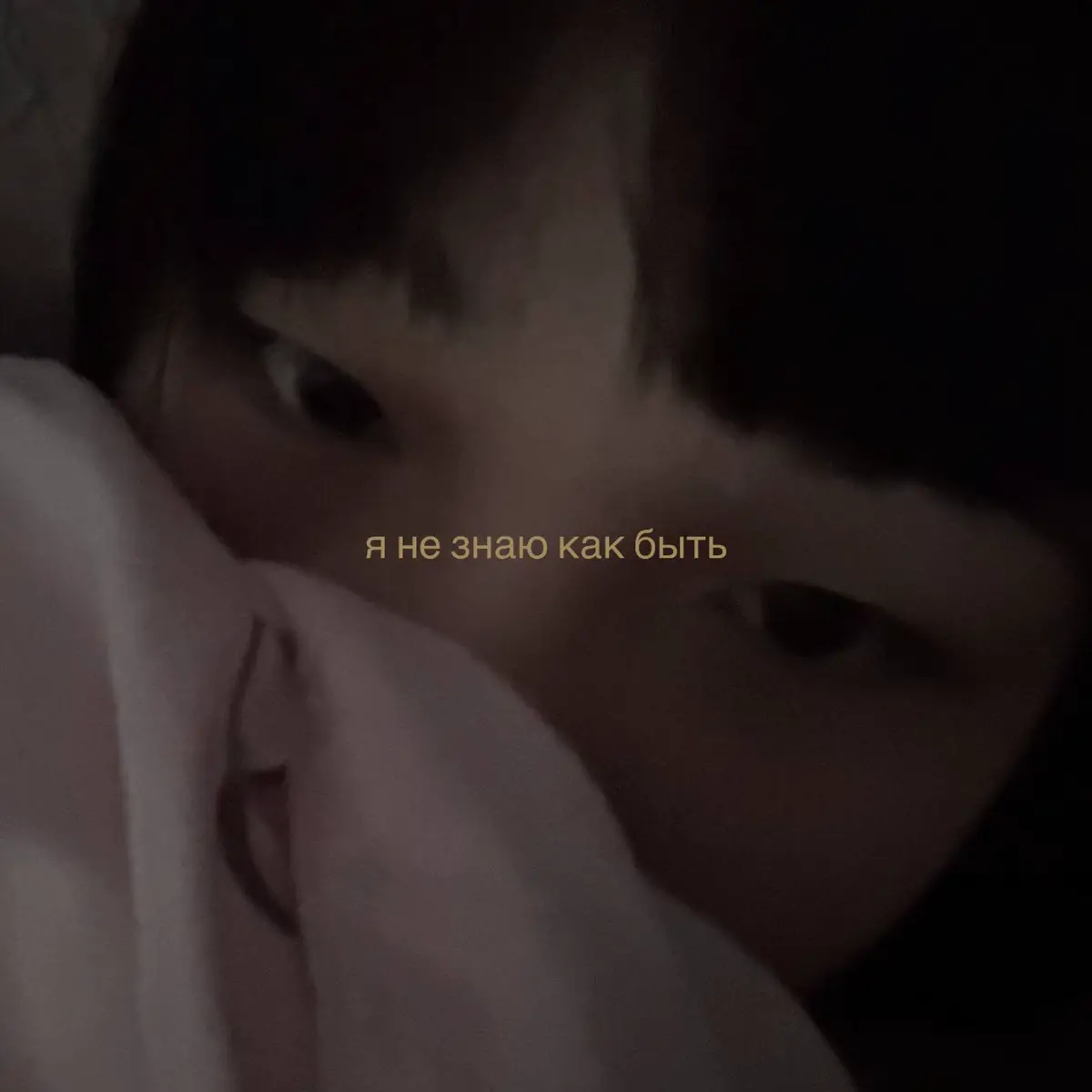 @心| ʜᴀʀᴜ