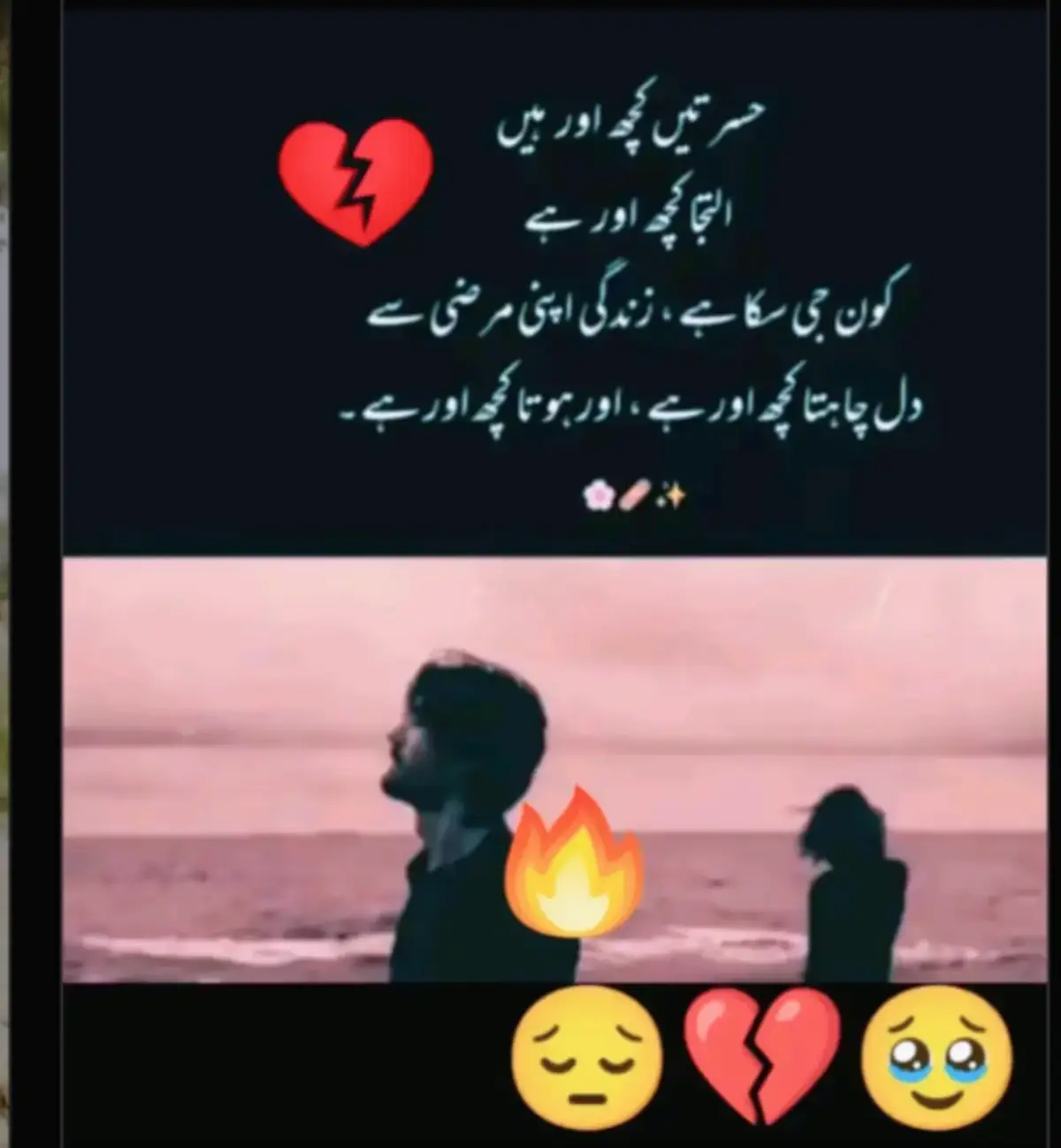 @Hassan Hussain💞