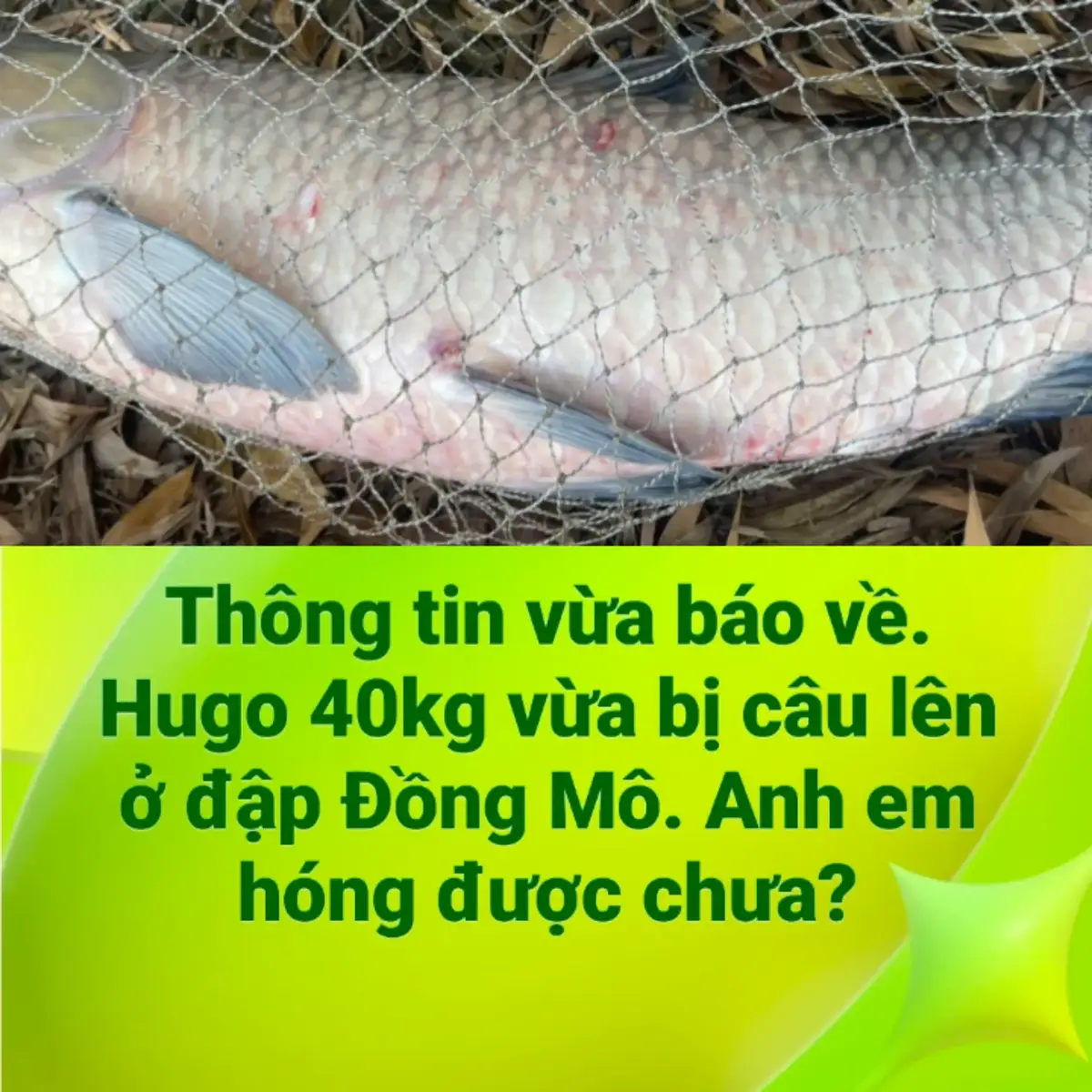 @Dũng Nguyễn Fishing