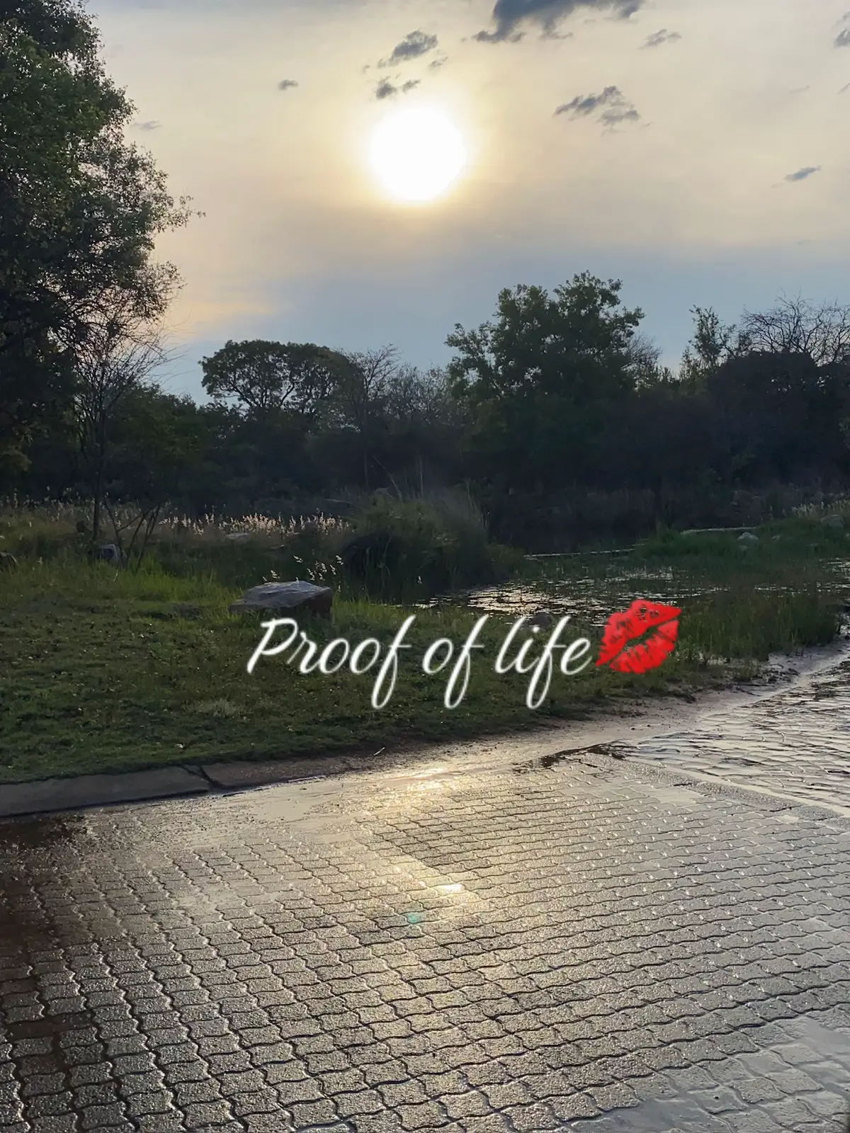 @Paigeyy