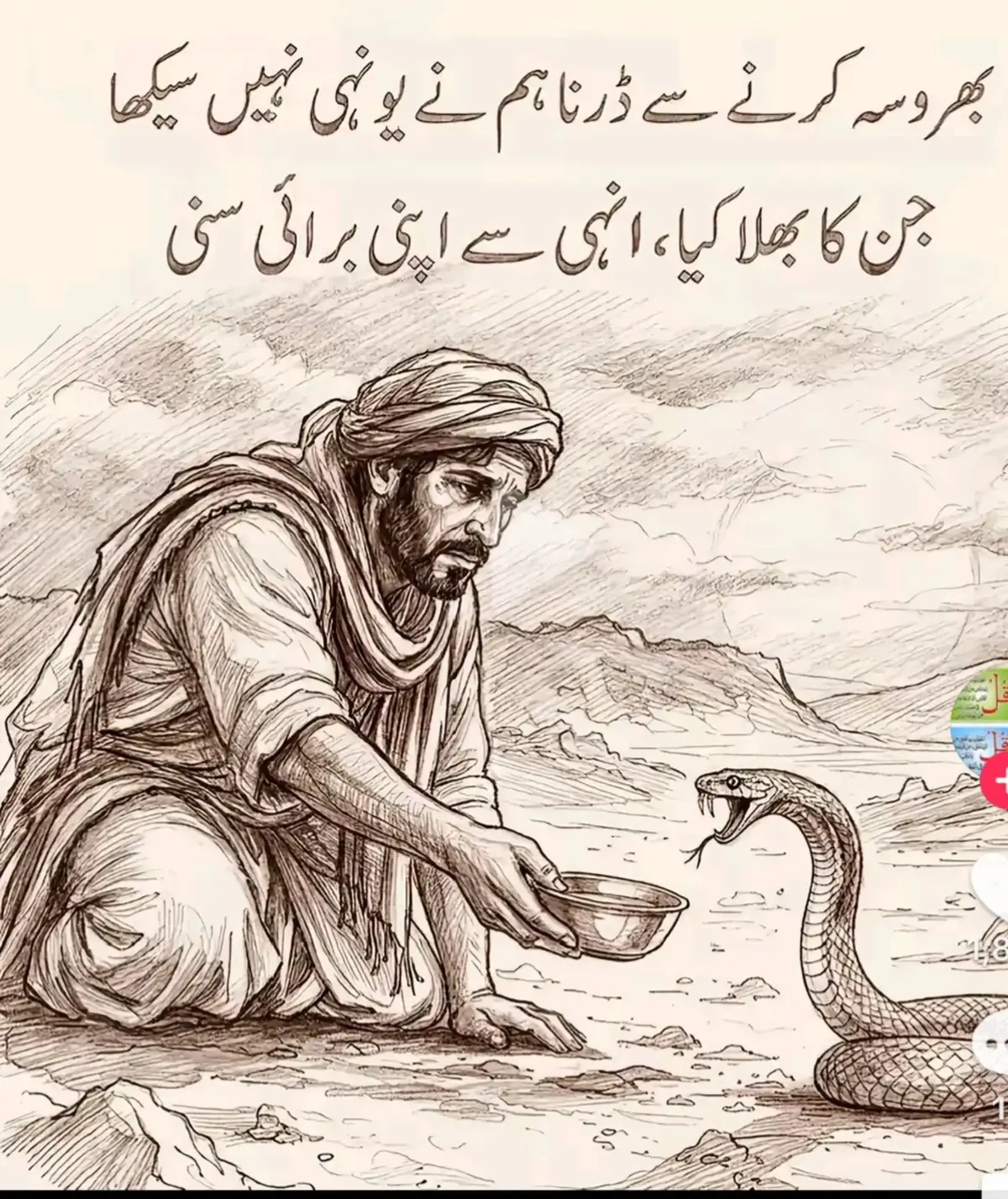 @Zawar Gull