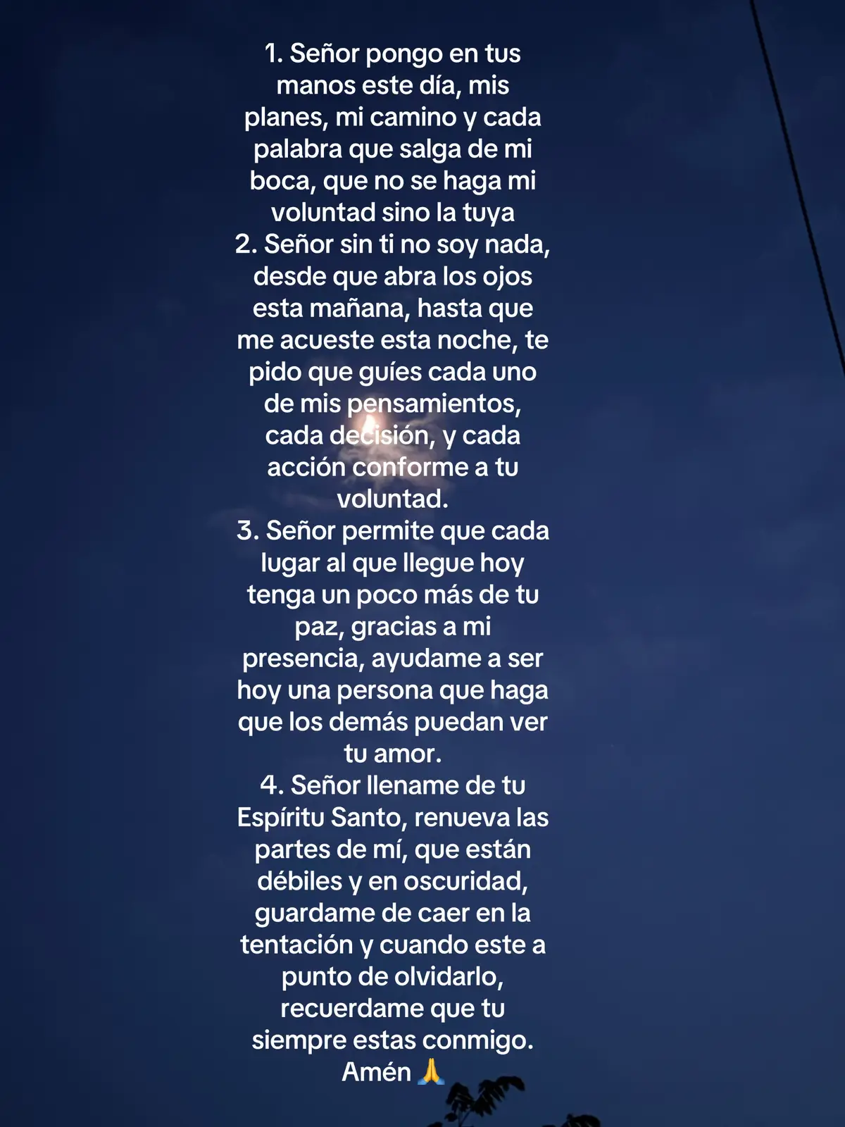 @Beatriz A .