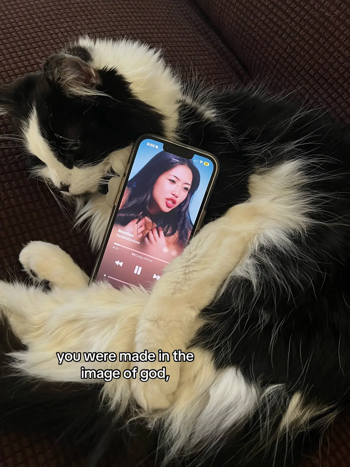 @zoe
