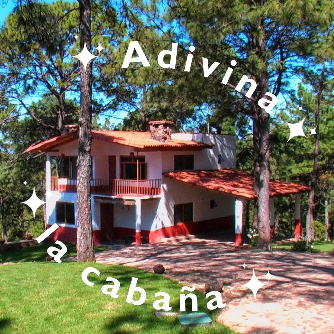 @Live Camp Campamentos