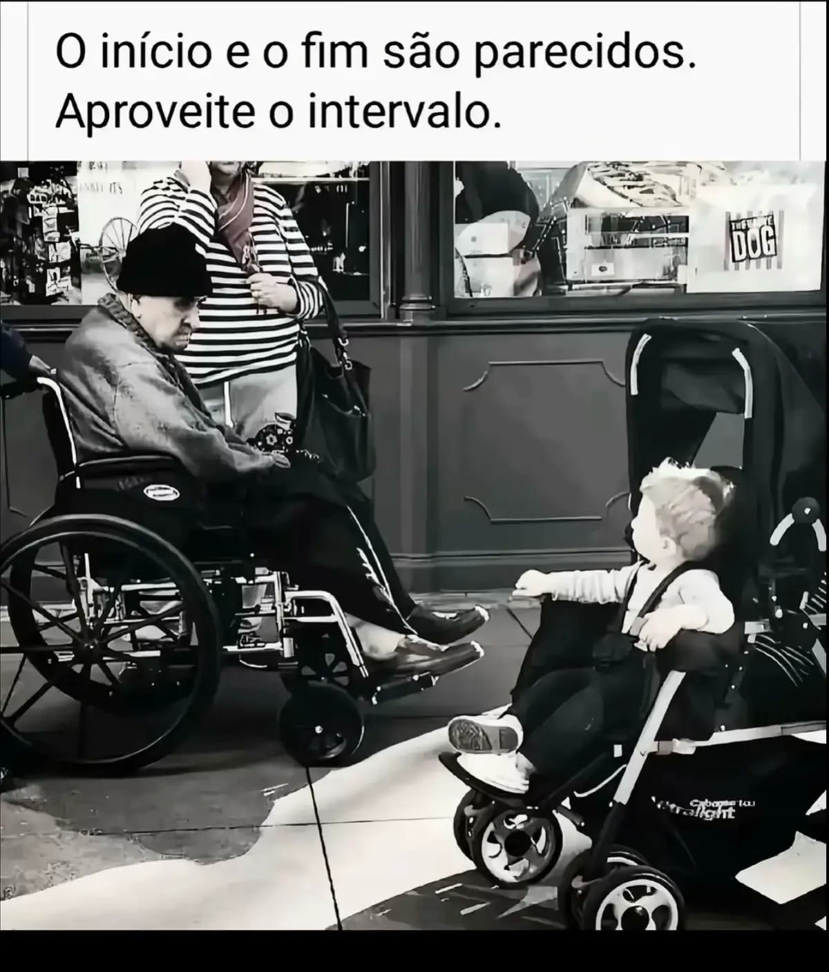 @MichelAugusto