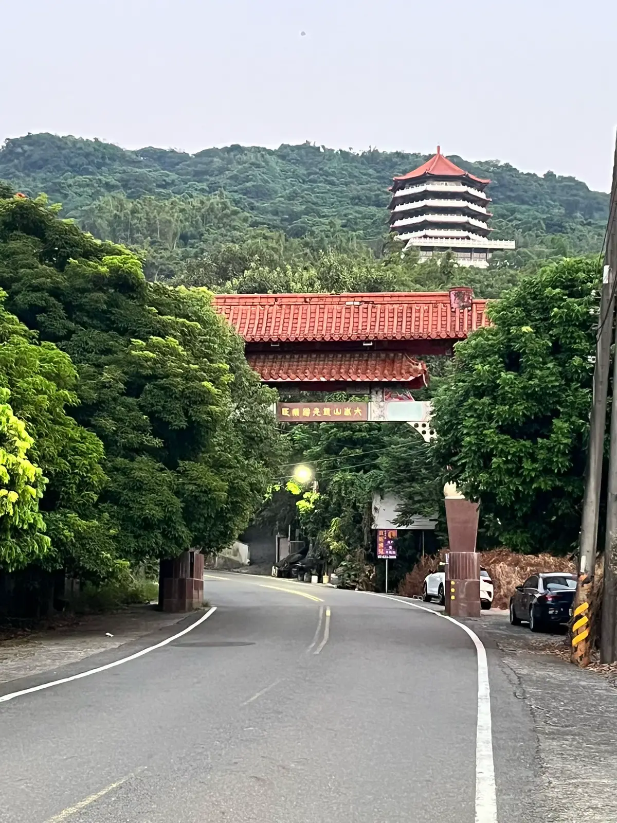 @陳皮