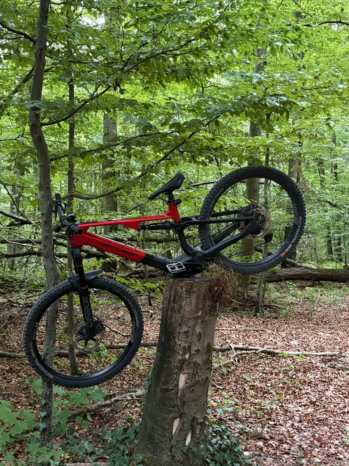 @Luca.mtb🇩🇪🦅✝️