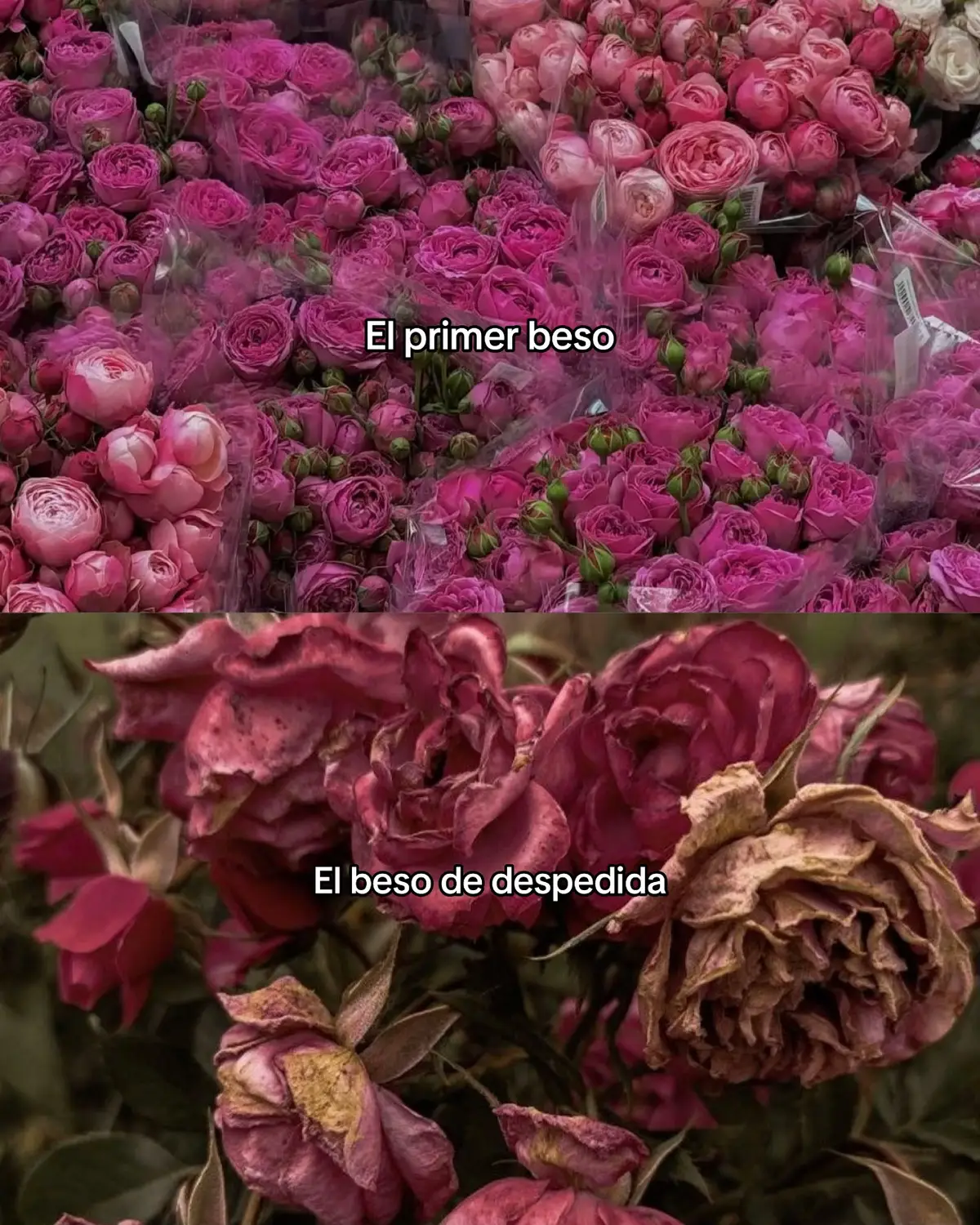 @glowupmododeempleo