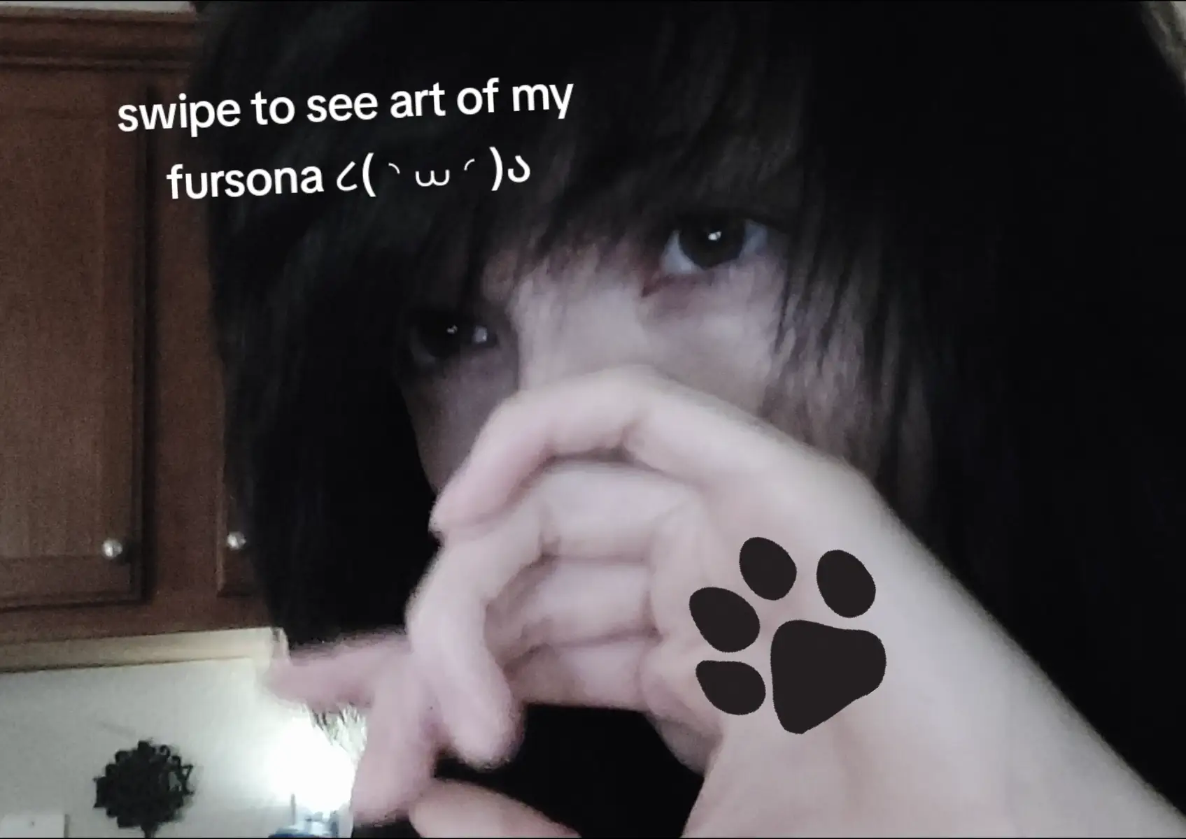 @momo🐾🍀