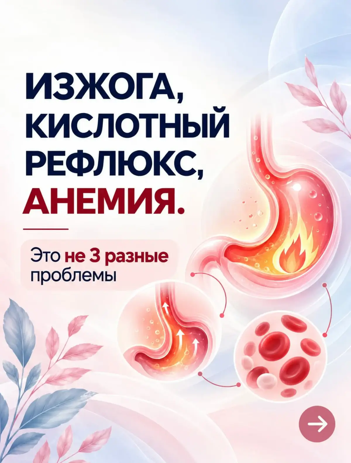 @Анна Гоголева