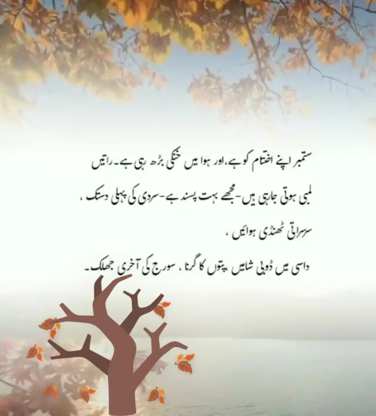 @ZAIN_89🖤