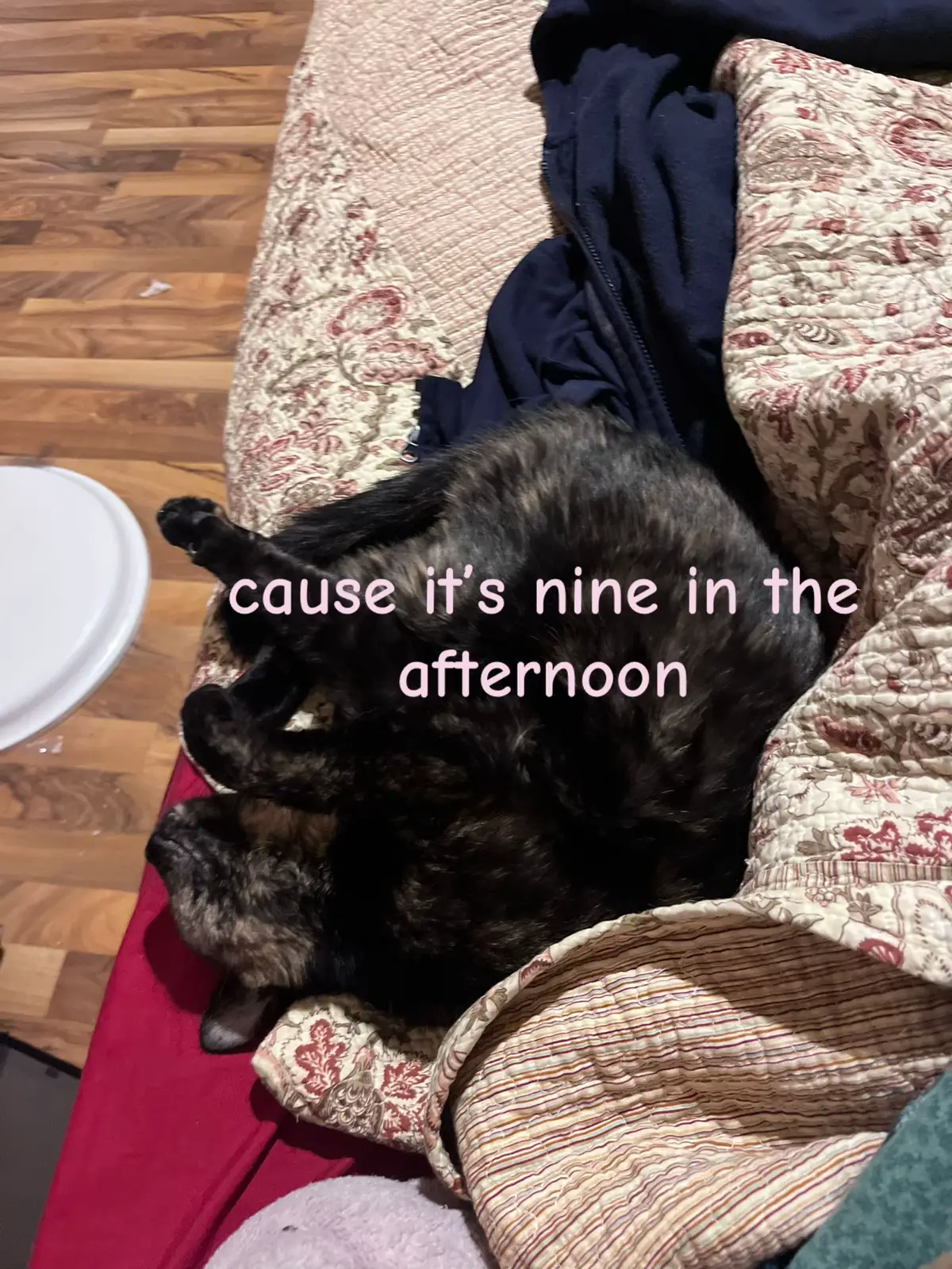 @𝄢 𝓡𝓮𝓶☆𝓪𝓵𝓲𝓫𝓲⁷⁷⸝⸝ 𝄂