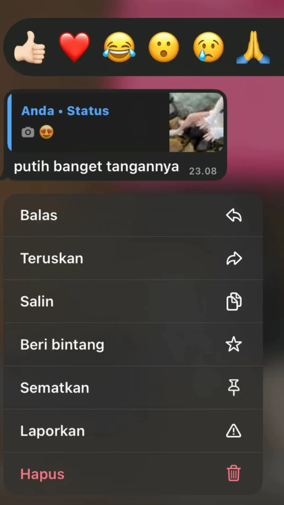 @paramita