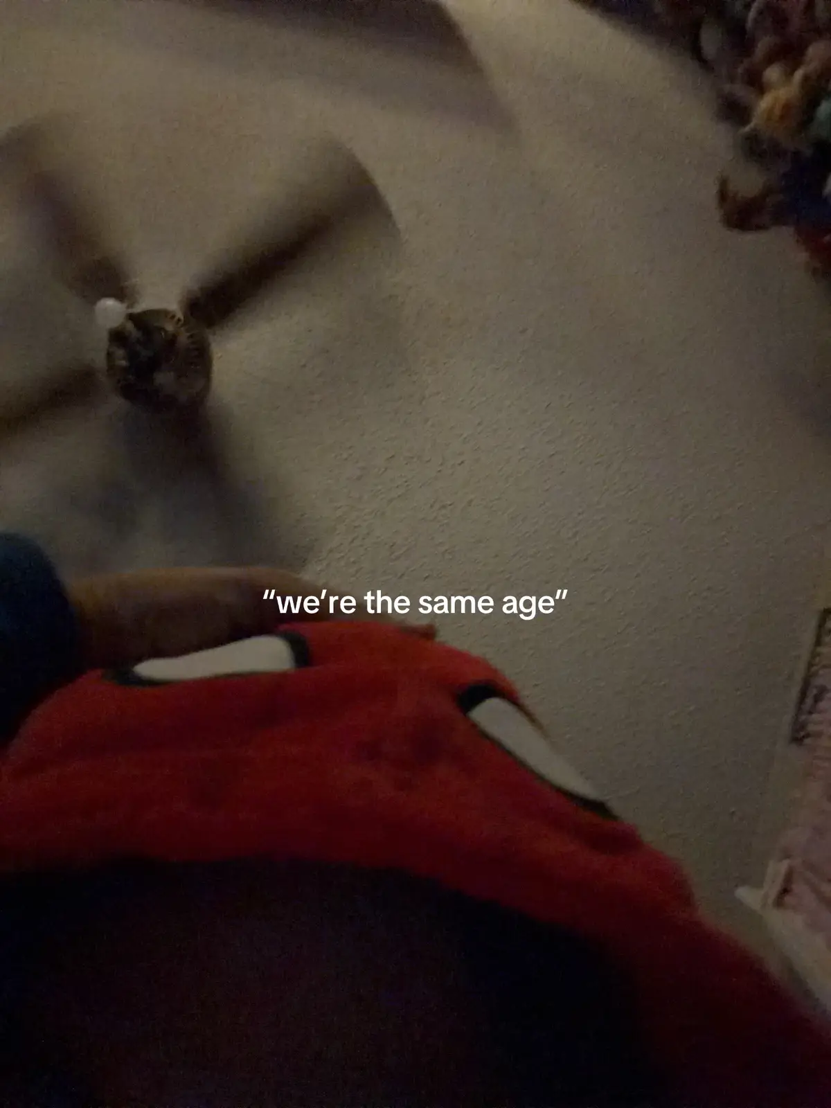 @ᥫ᭡