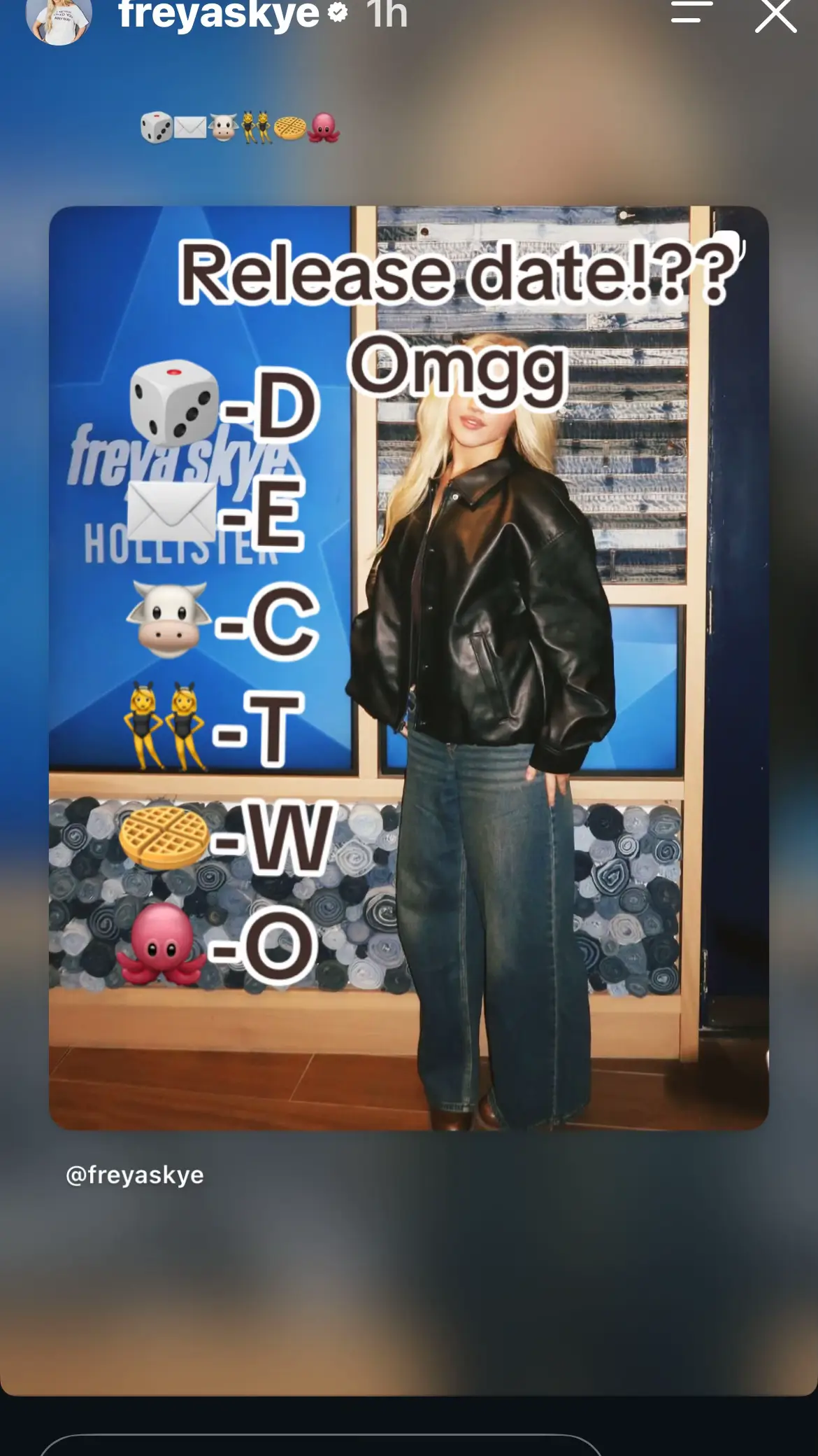 @professional_fan_girl1