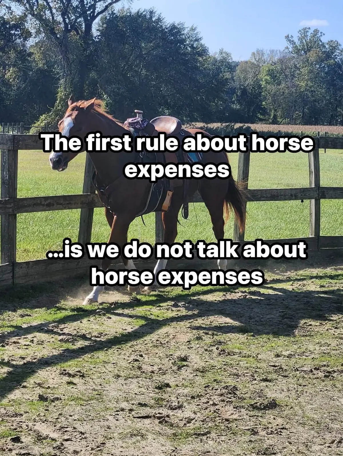 @Horselife