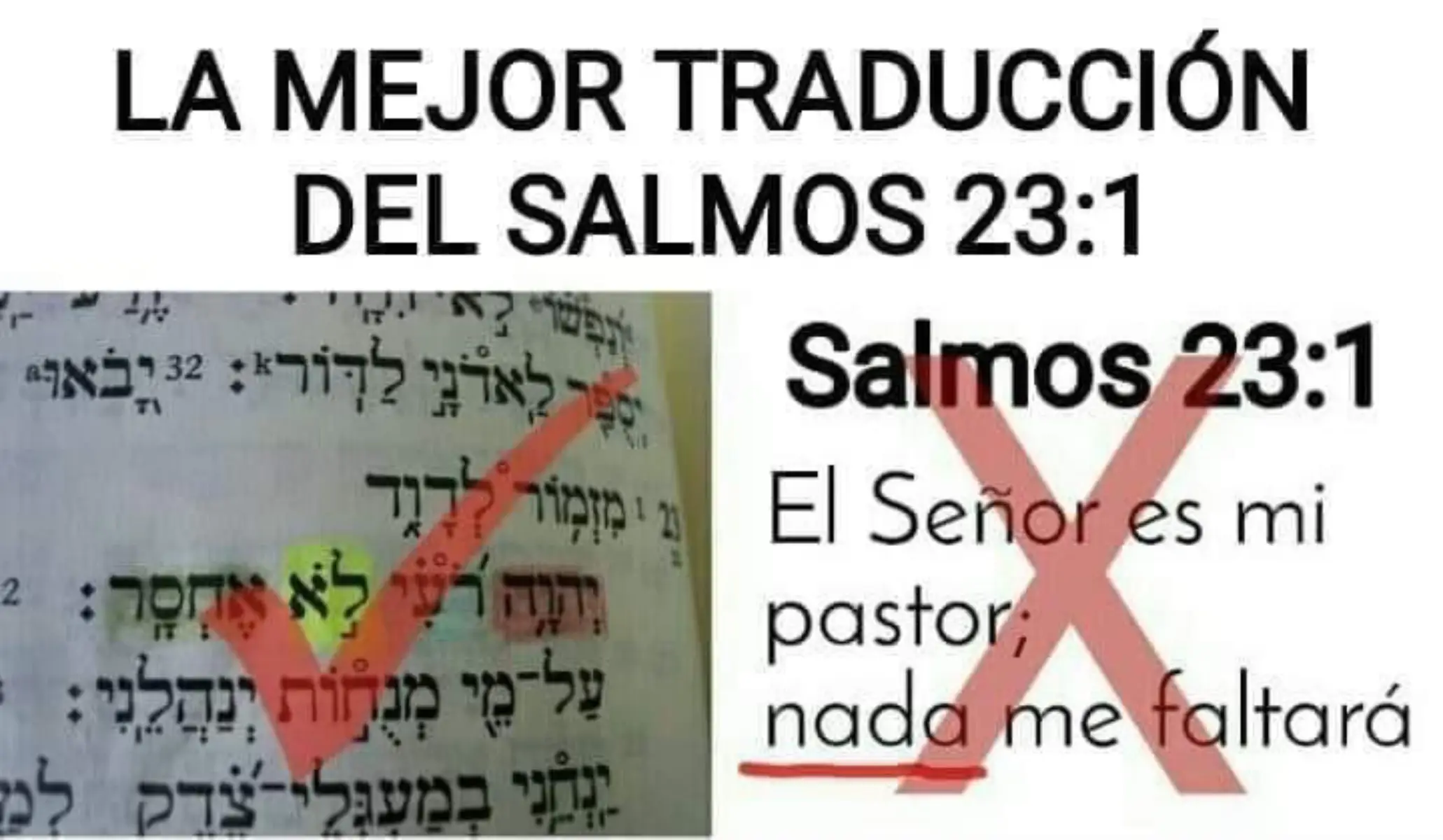@Ajel - Torah para hoy