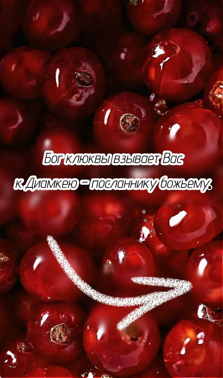 @селедка андрей [он/его]