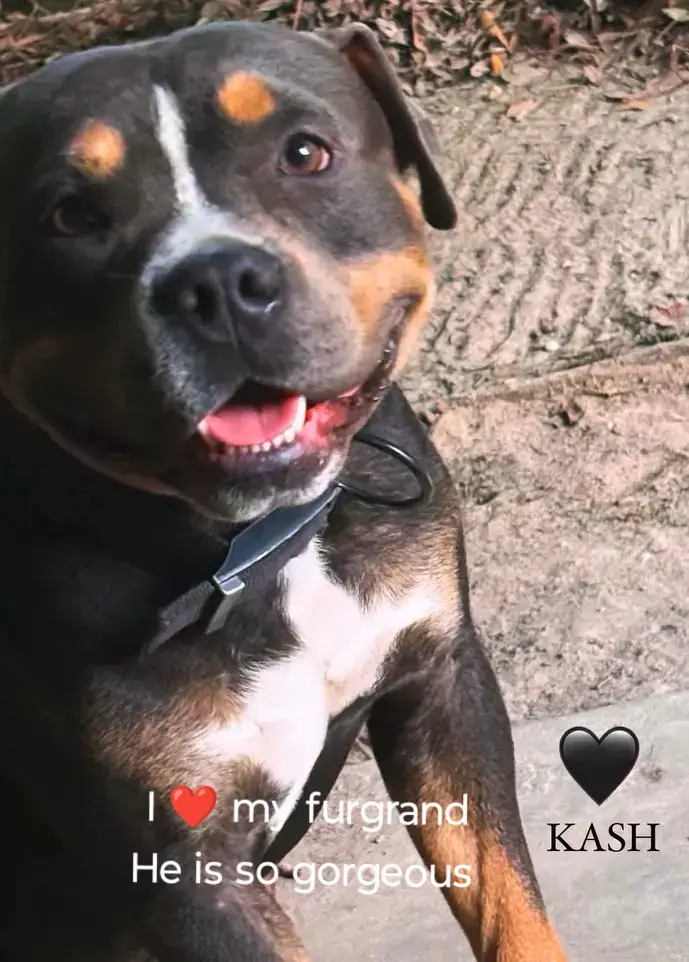 @Moni