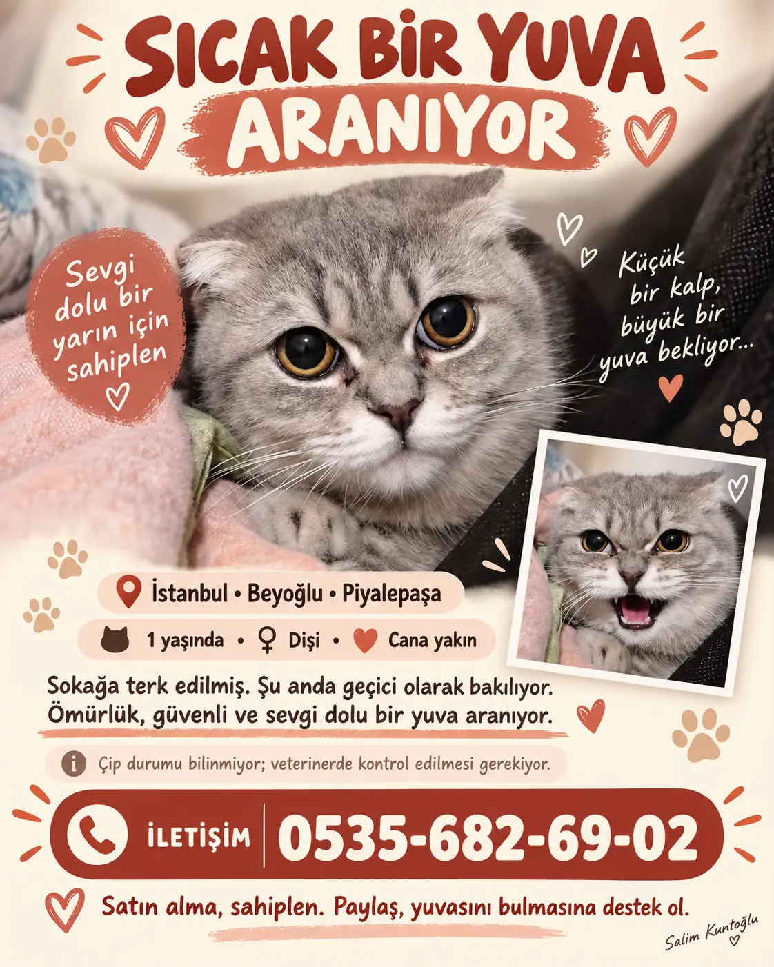 @Salim Kuntoğlu