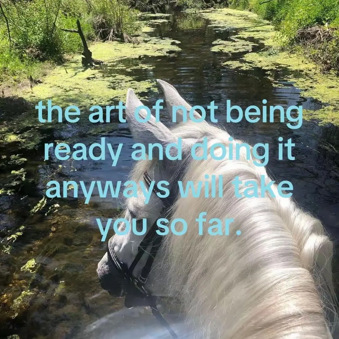 @muddyswisher