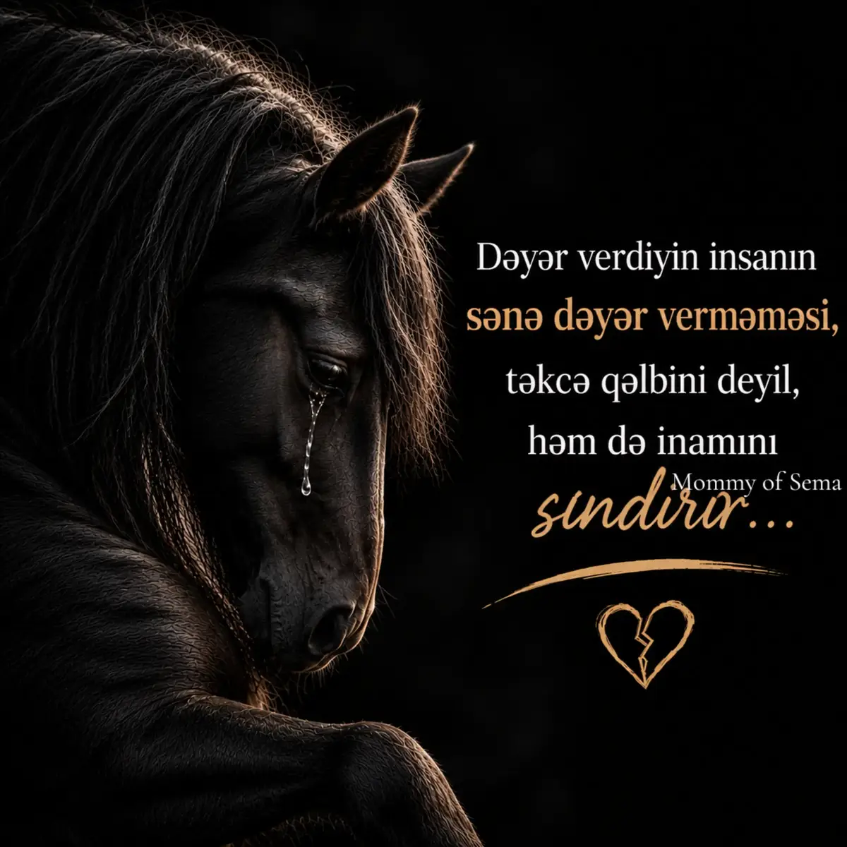 @Mommy.ofSema ❤️🩵Səma & Səid