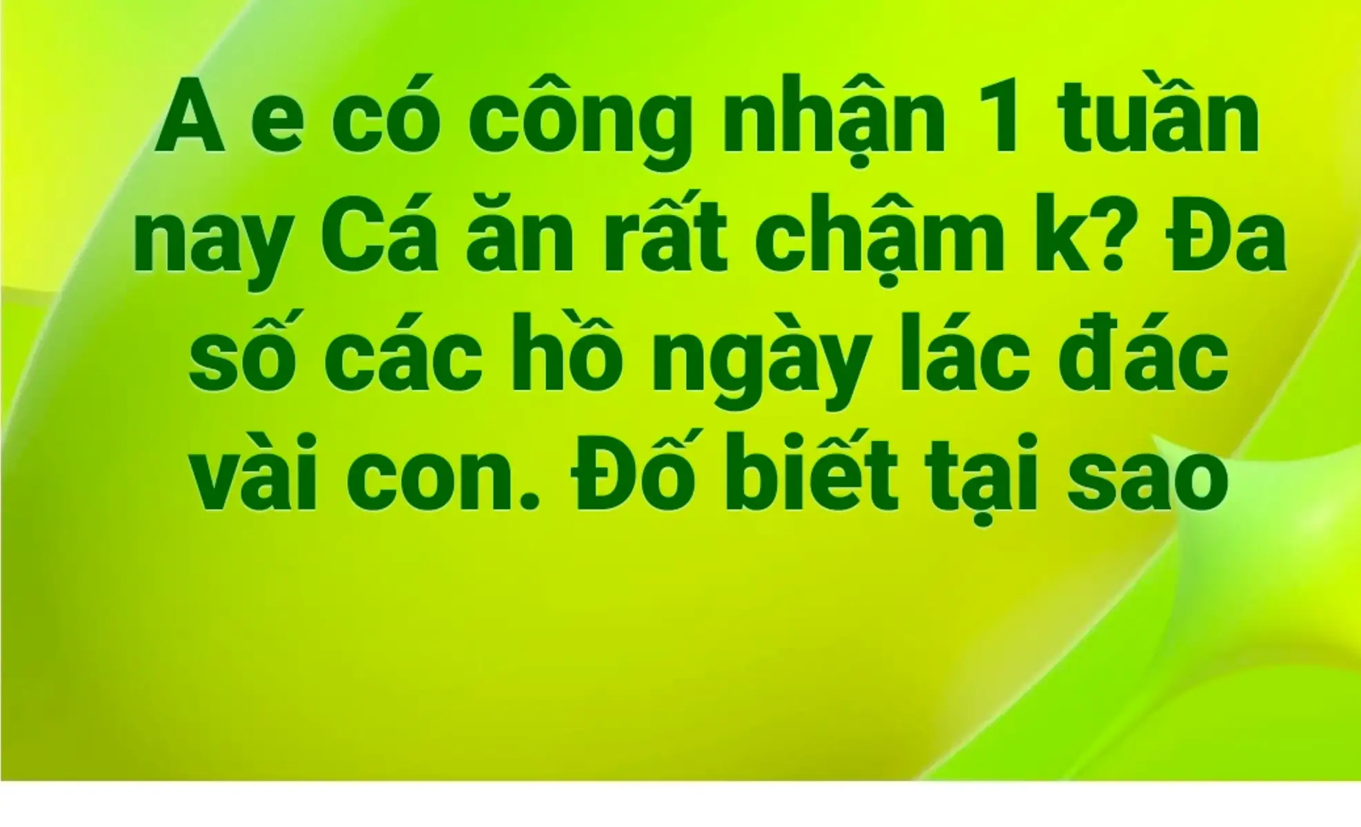 @Dũng Nguyễn Fishing